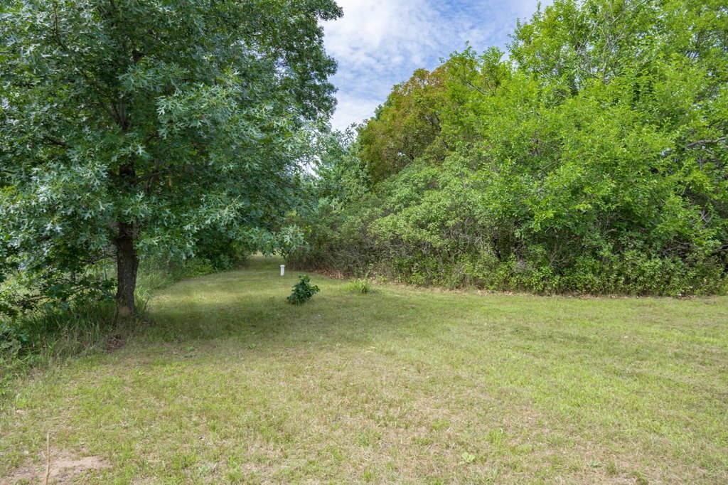 Picture 14