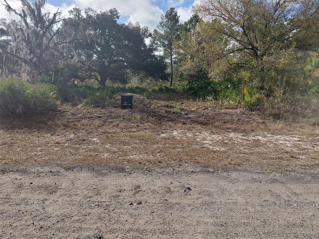 Picture 5