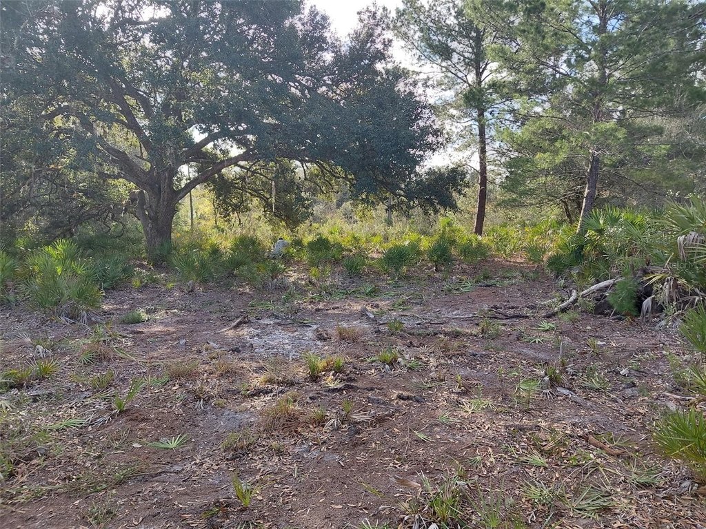 Picture 6