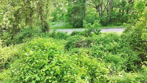 Residential Lot in Ithaca, NY