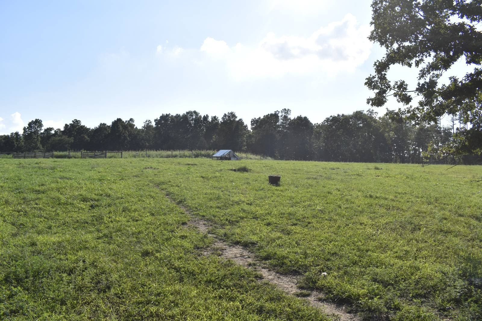 80+ Acres of Missouri Land