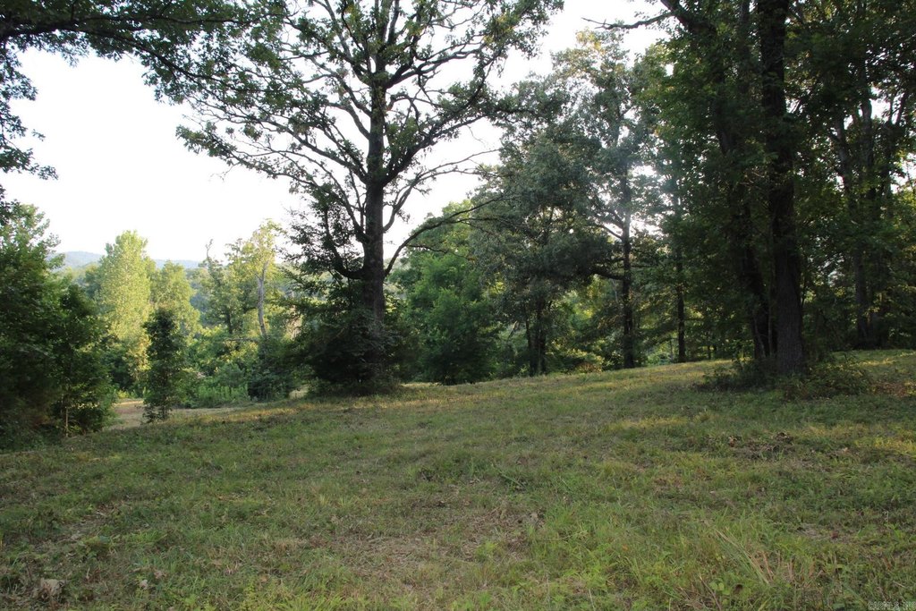 Picture 40