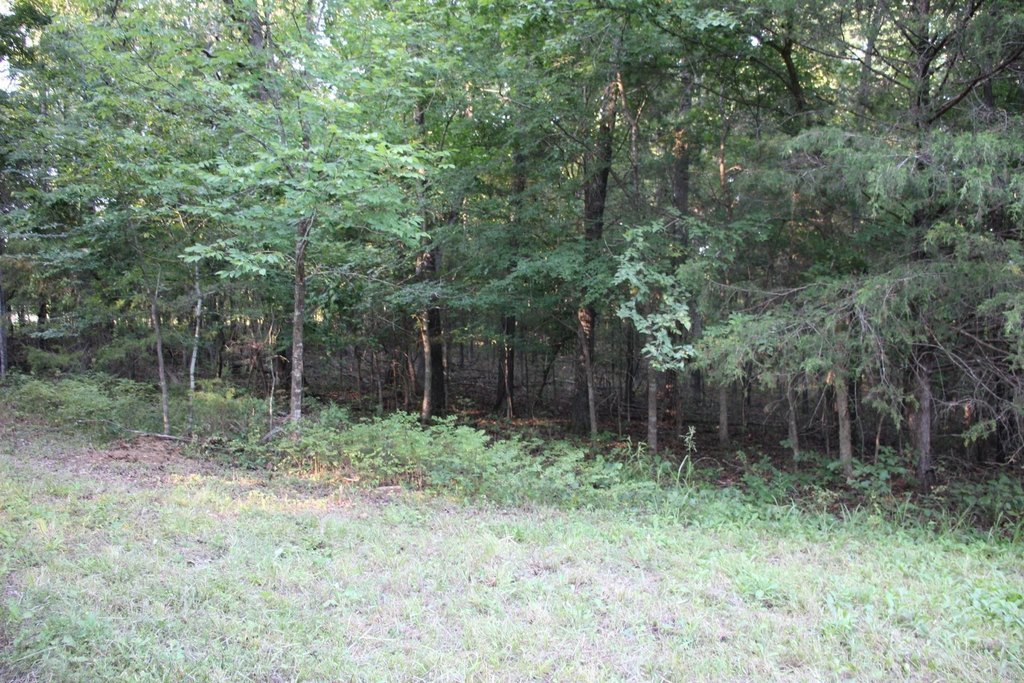 Picture 43