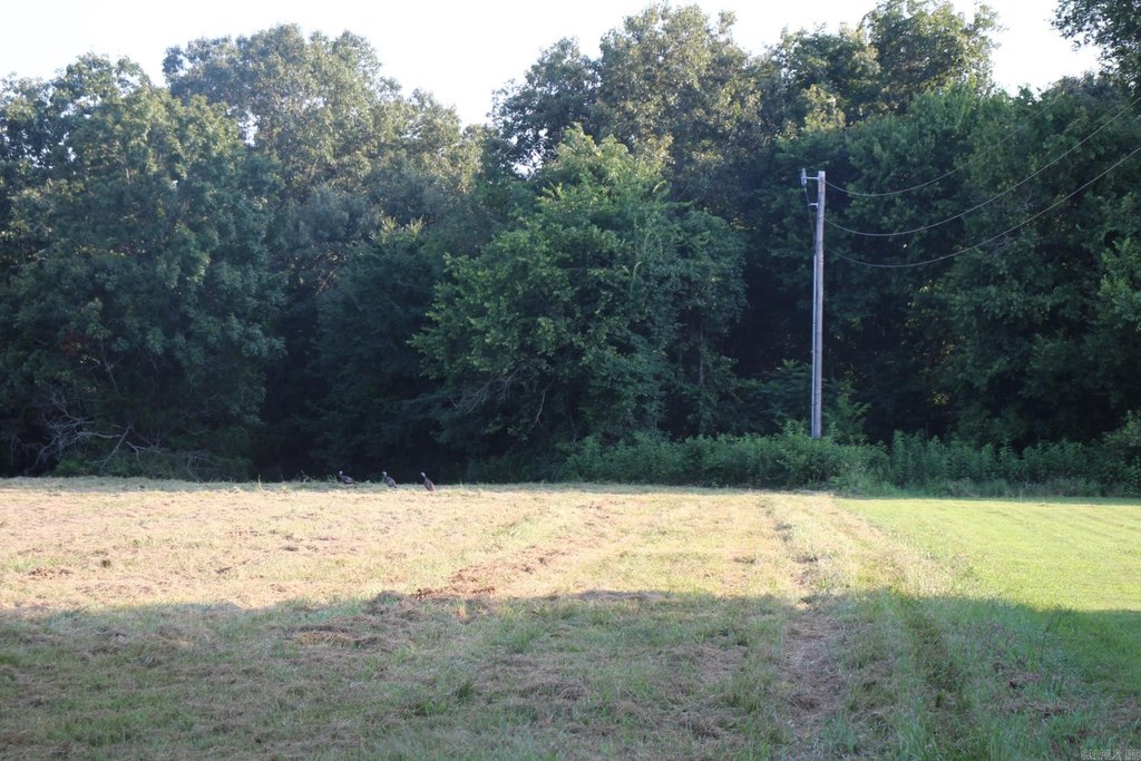 Picture 26