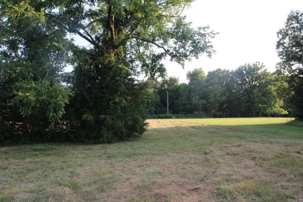 Picture 28