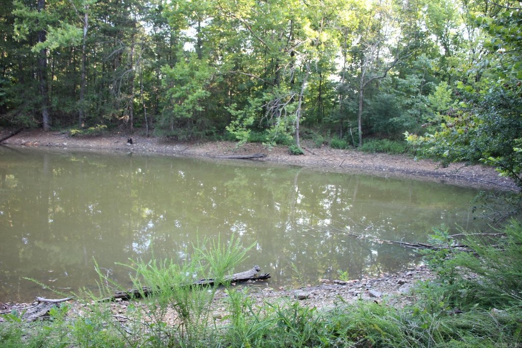 Picture 37