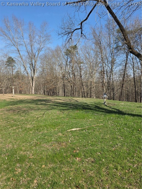 Picture 9