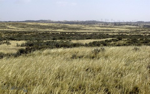 Shepherd, MT Grassland and Sagebrush