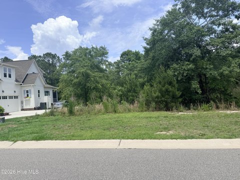 Leland Land Backing Green Space