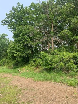 Agricultural Land Parcel with Nearby Adjacent Lot