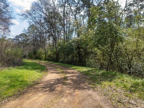 LAND - Daingerfield, TX