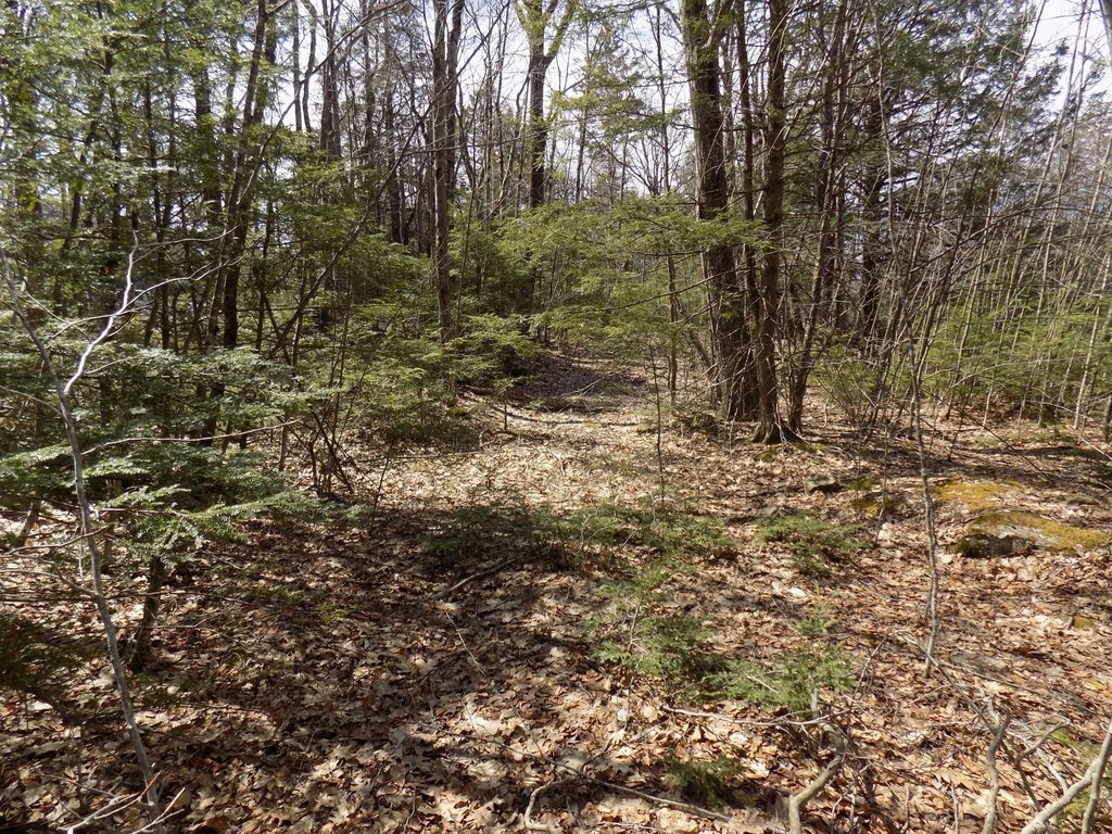 Picture 12