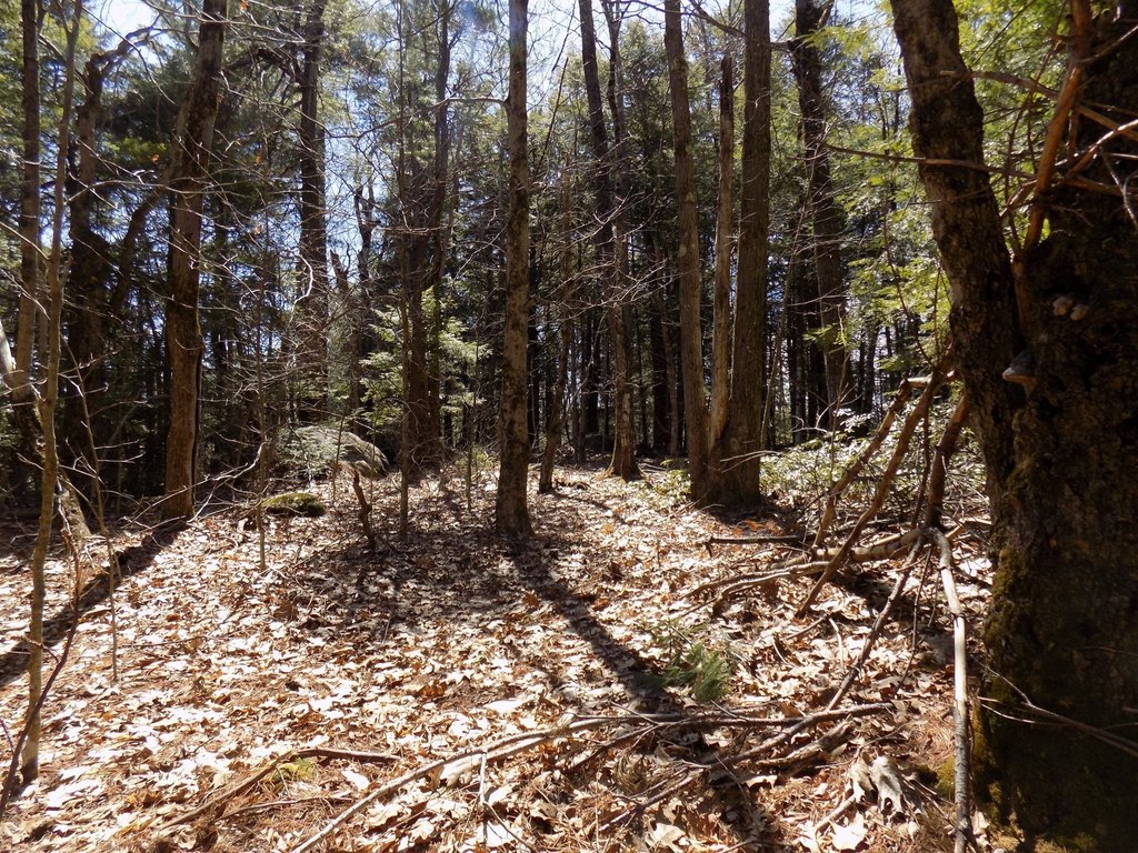 Picture 8