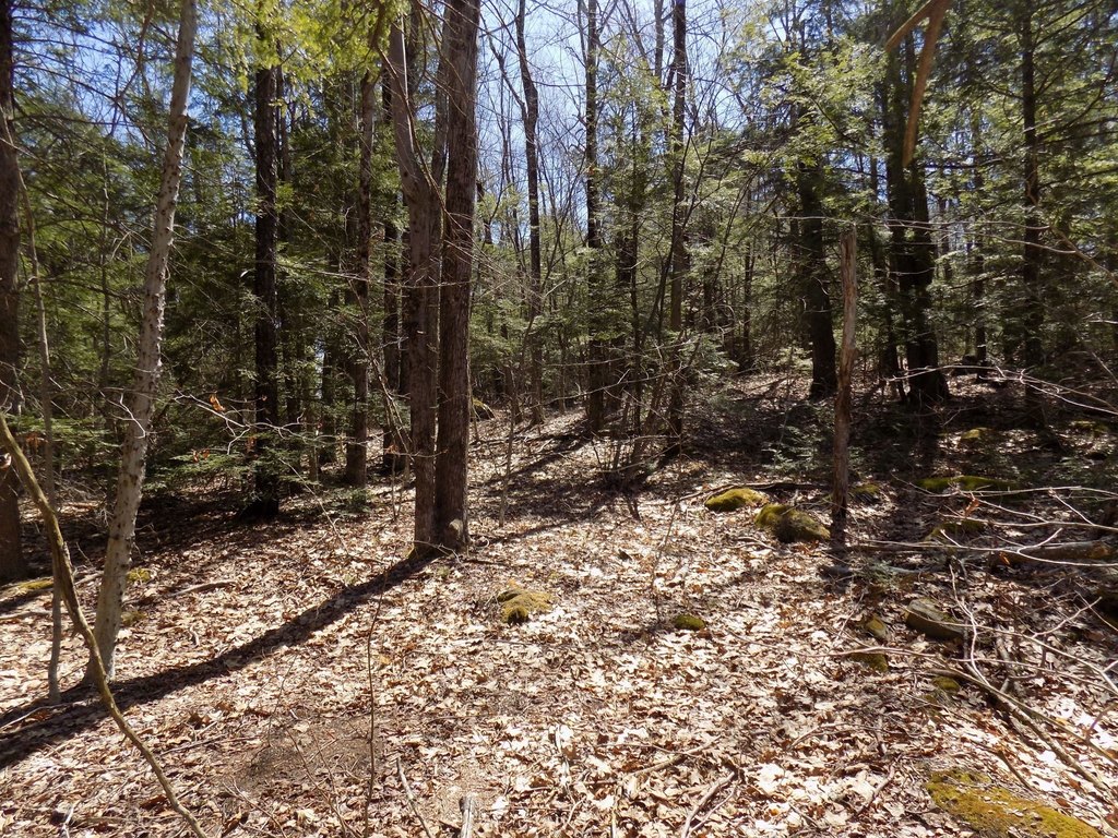 Picture 6