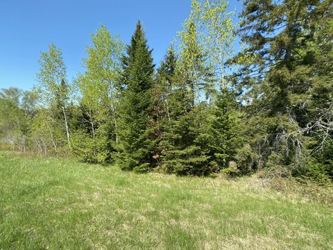 Land For Sale in Cyr