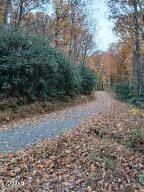 Land, Cosby, TN