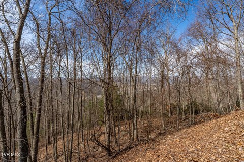 Mountain City Land For Sale