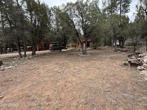Residential Land in Overgaard, AZ