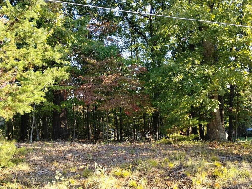 Picture 8