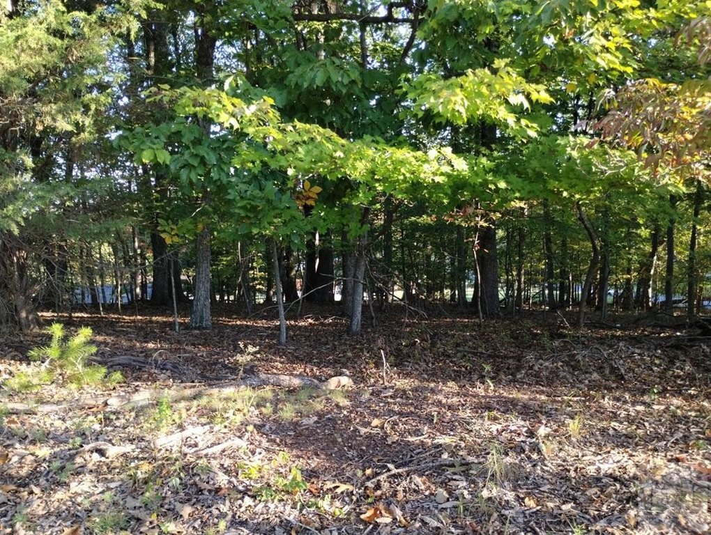 Picture 12