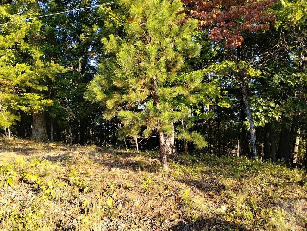 Picture 2