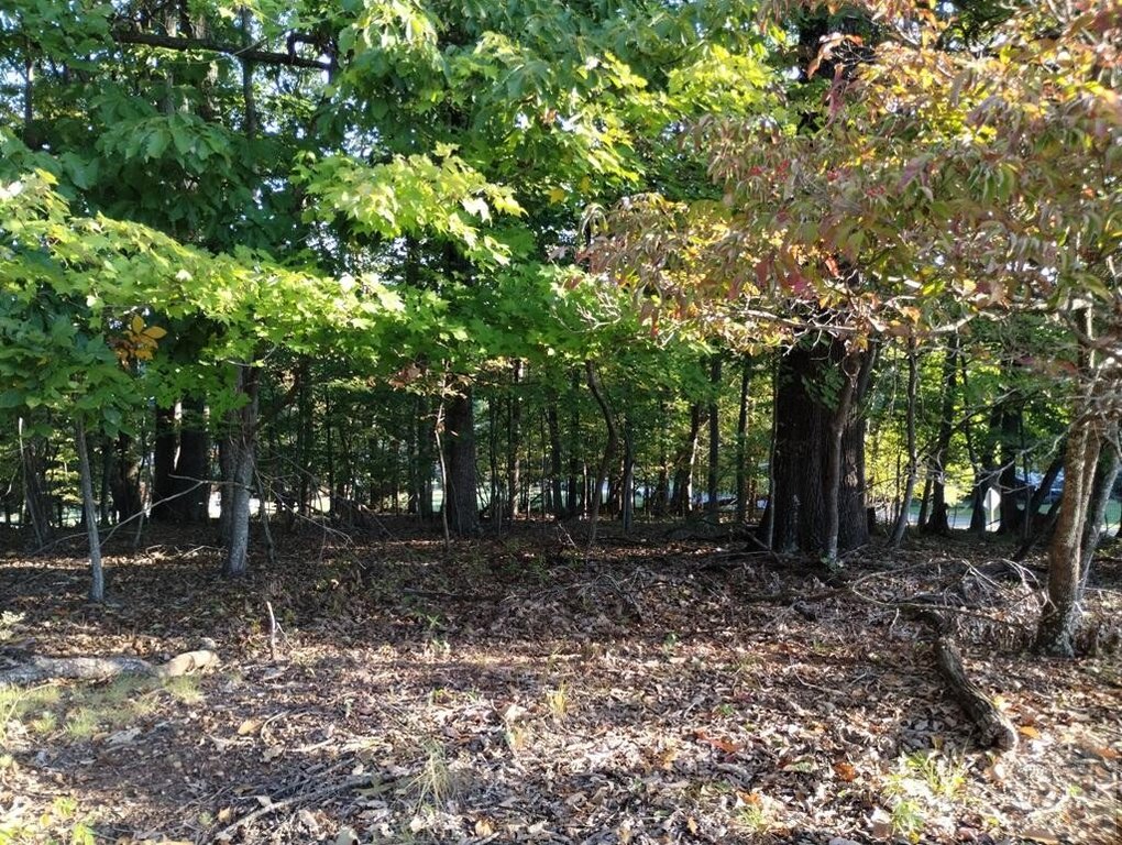 Picture 10