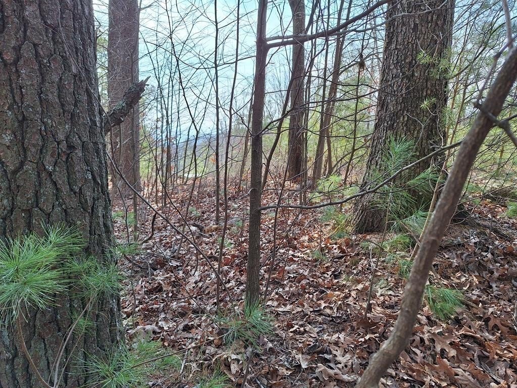 Picture 16