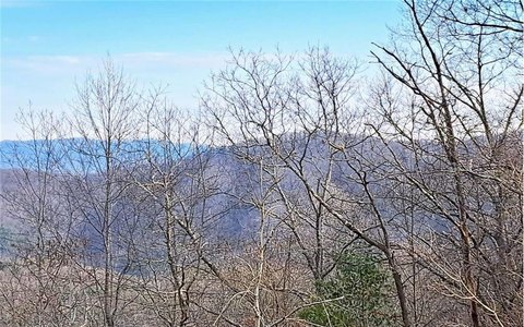 LAND - Chatsworth, GA