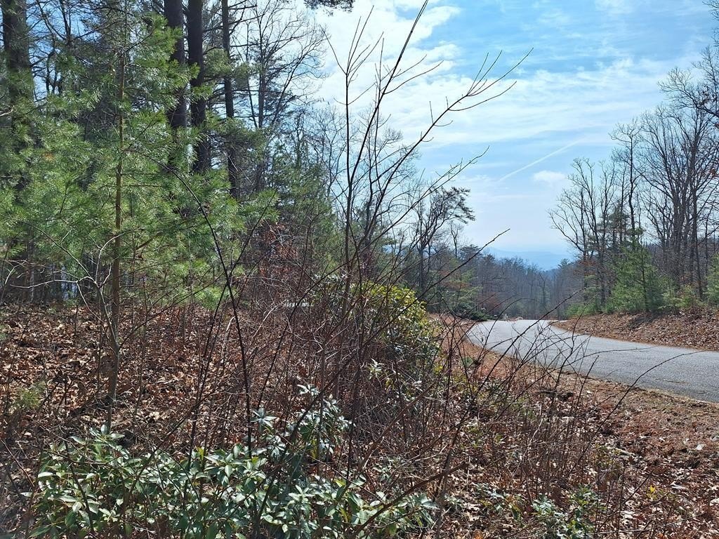 Picture 18