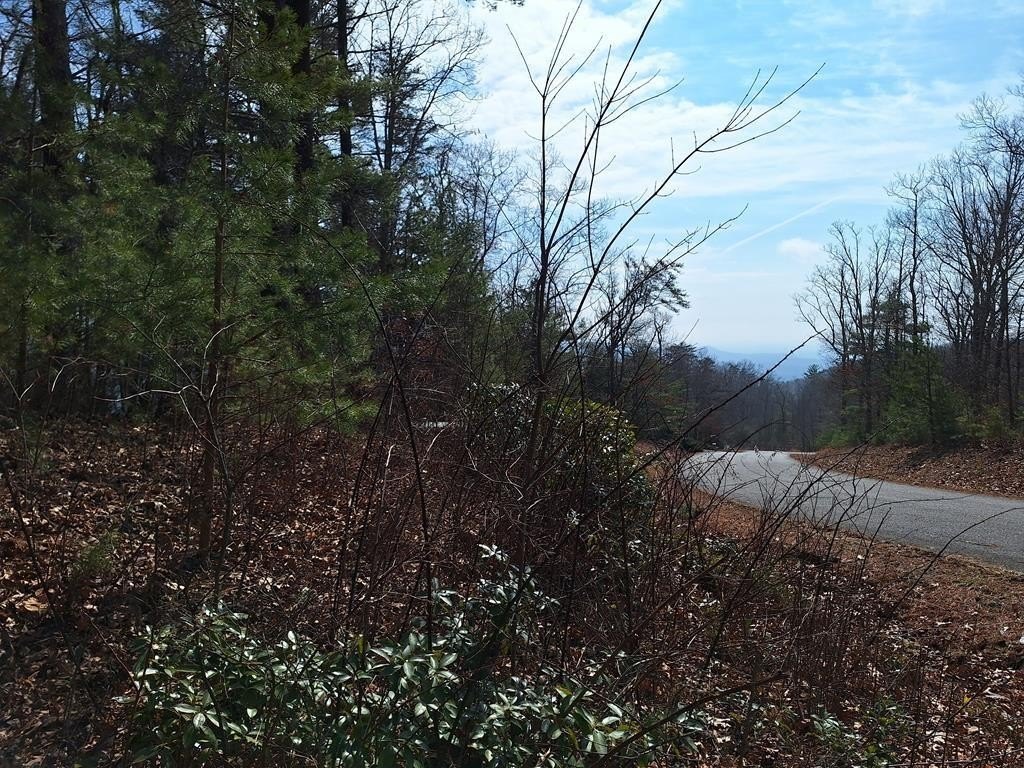 Picture 17