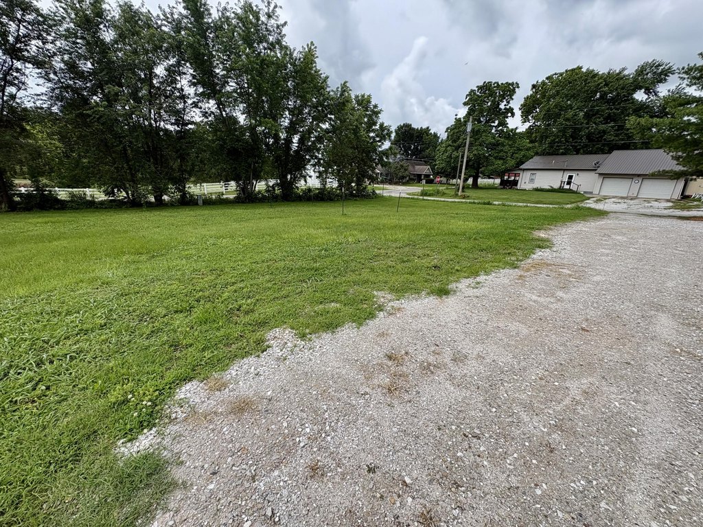 Picture 6