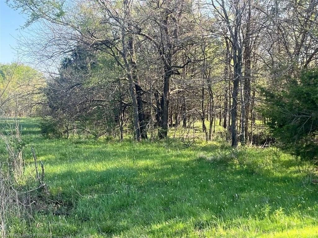 Oklahoma Land Near McCurtain