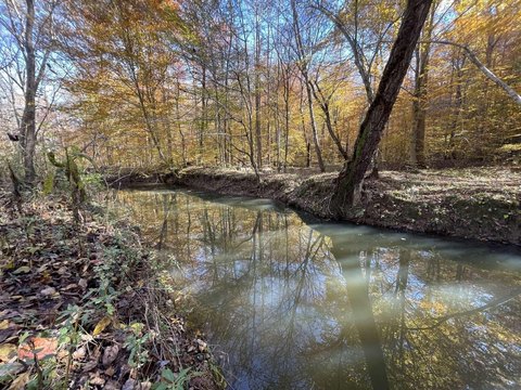 23 Acres Versatile Land, Kentucky