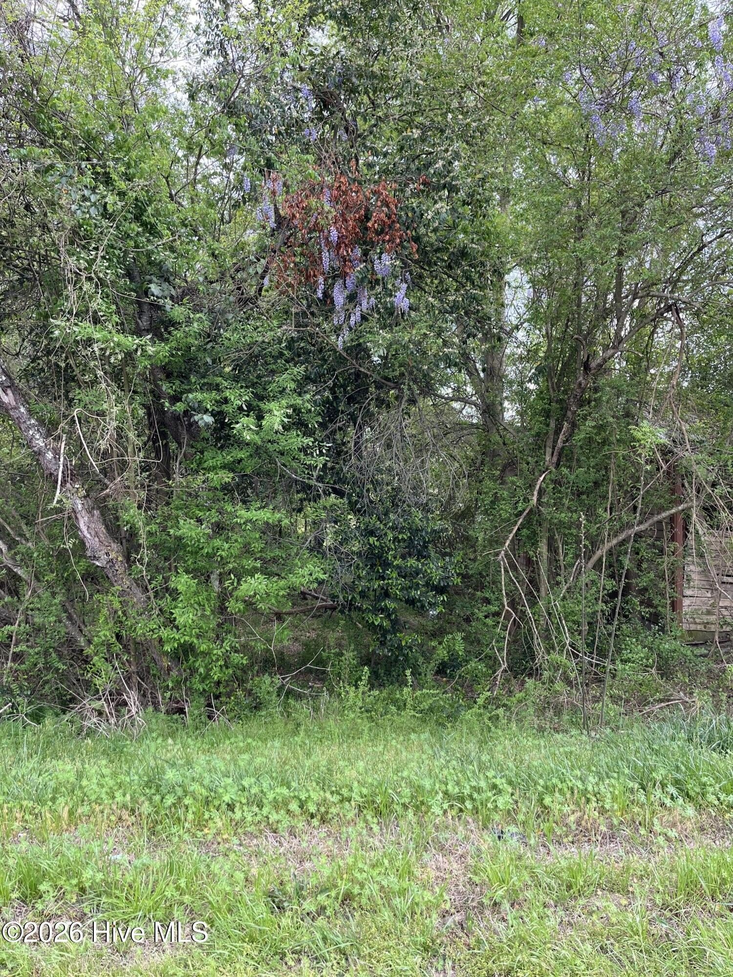 Land in Laurel Hill, NC