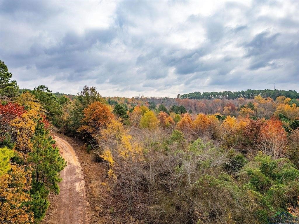 Picture 14