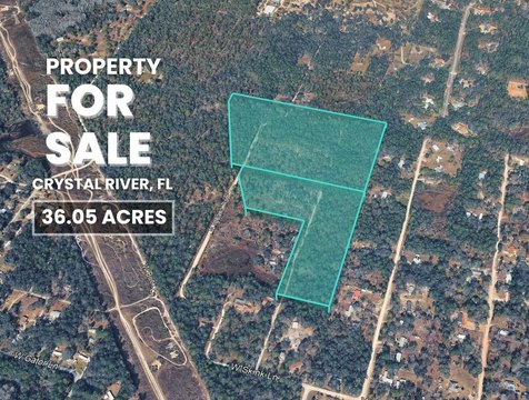 Vacant Land - Crystal River, FL