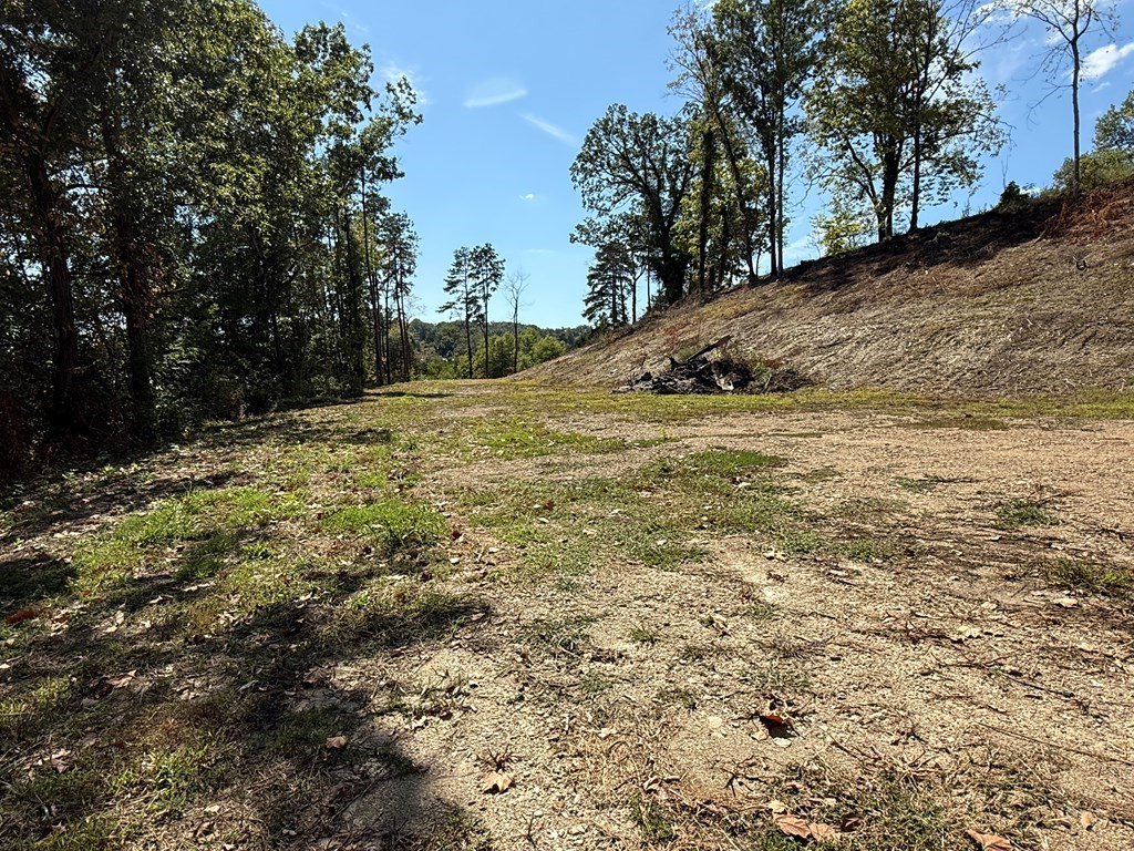 Picture 2