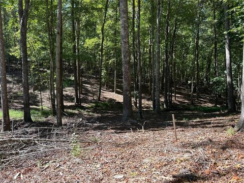 Land, Ellijay, GA