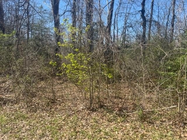 Picture 10