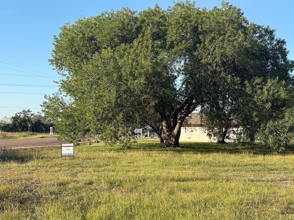 Picture 16
