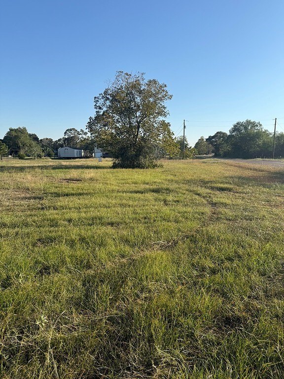 Picture 9
