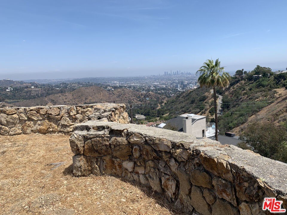 Picture 7