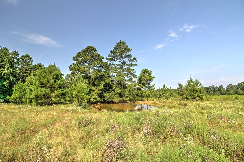 25 Acres of Country Living