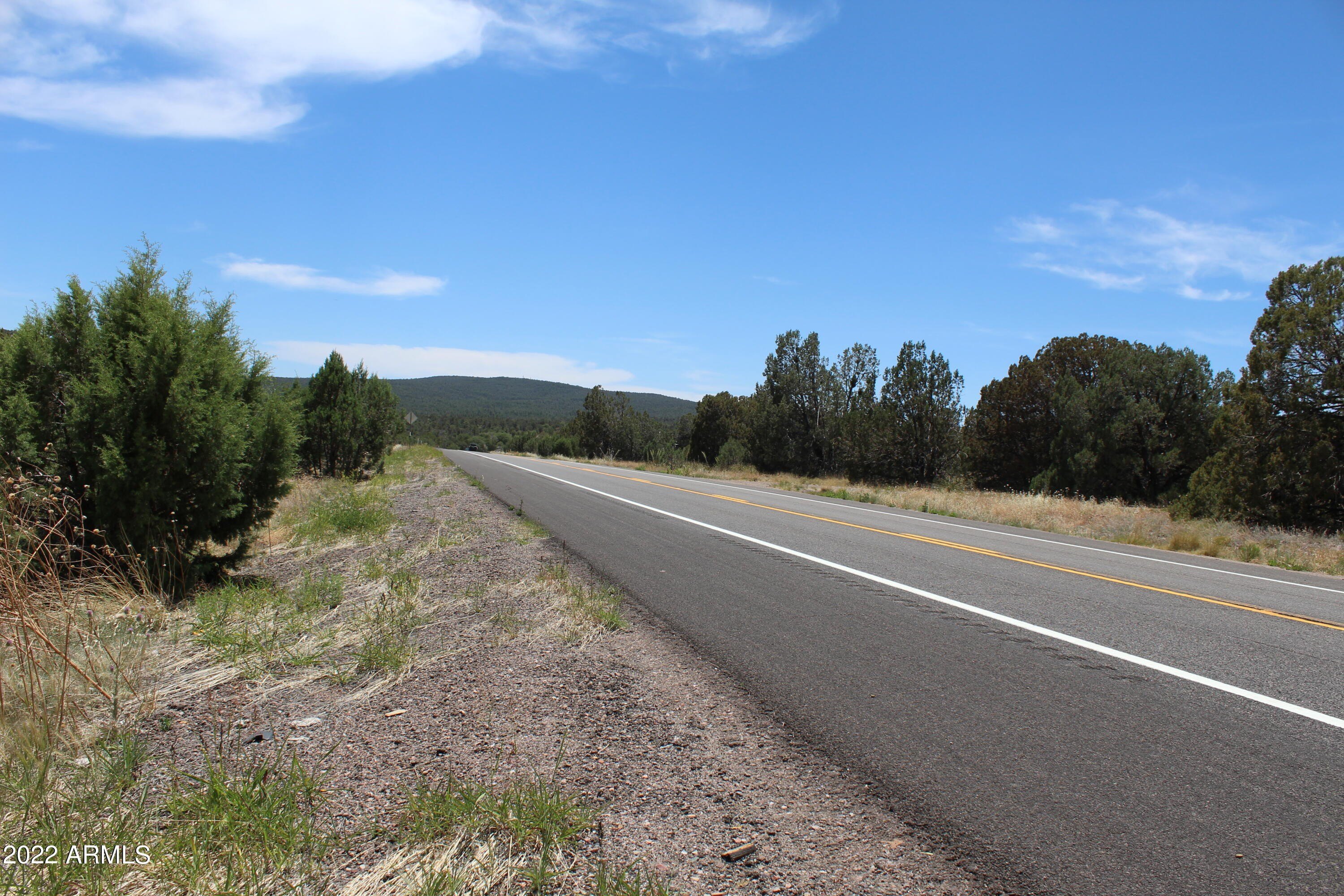 20+ Acres of Untamed Wilderness