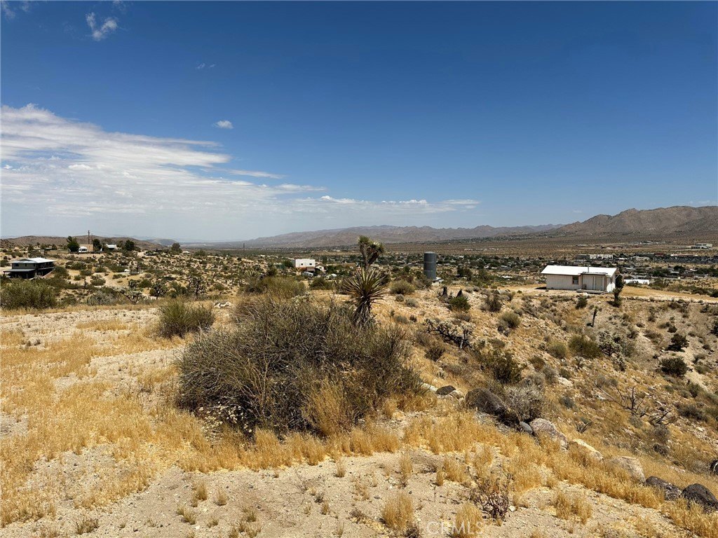 Picture 11