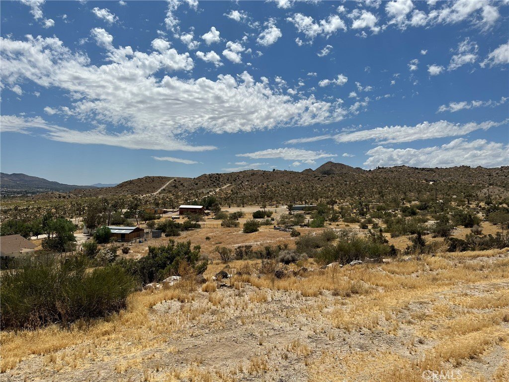 Picture 8
