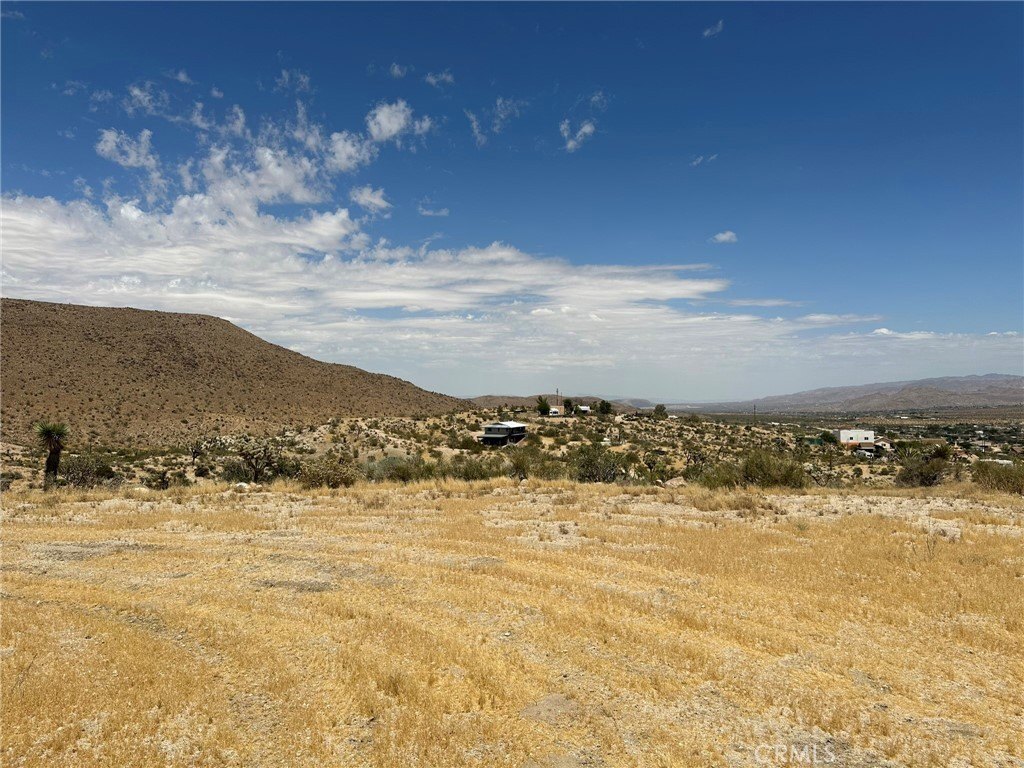 Picture 9