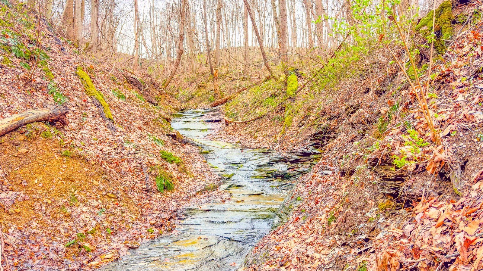 Ross County Vacant Land