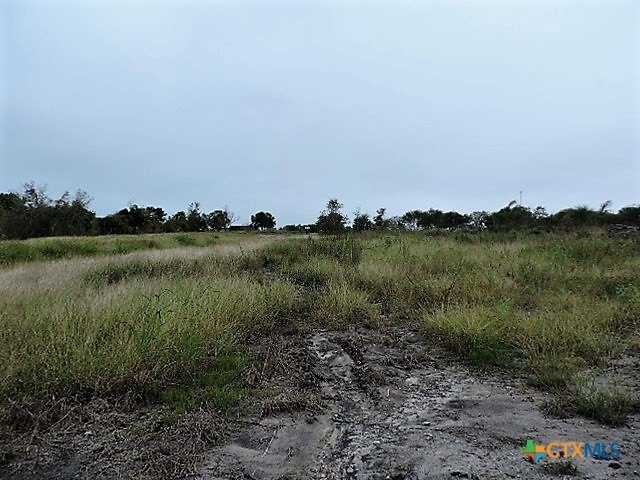Picture 2