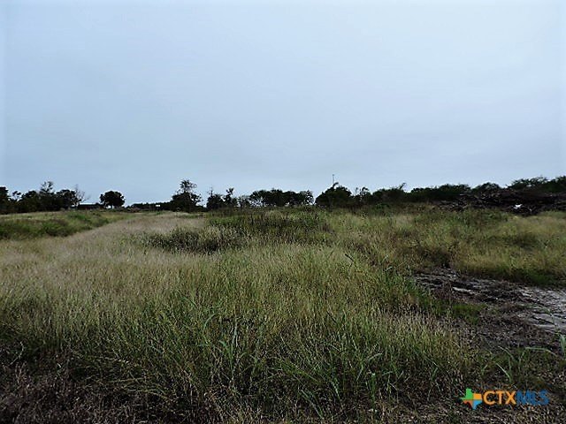 Picture 3